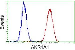 Image no. 6 for anti-Aldo-Keto Reductase Family 1, Member A1 (Aldehyde Reductase) (AKR1A1) antibody (ABIN1496539) (AKR1A1 Antikörper)