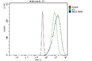 Flow Cytometry analysis of A431 cells using anti-NSE antibody (ABIN6719549). (ENO2/NSE Antikörper)