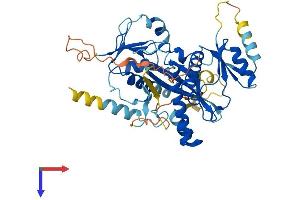TTLL9 Protein (AA 1-439) (His tag)