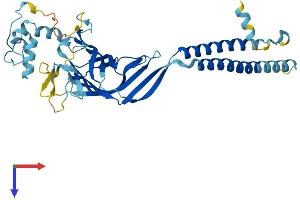 ERGIC3 Protein (AA 1-383) (His tag)