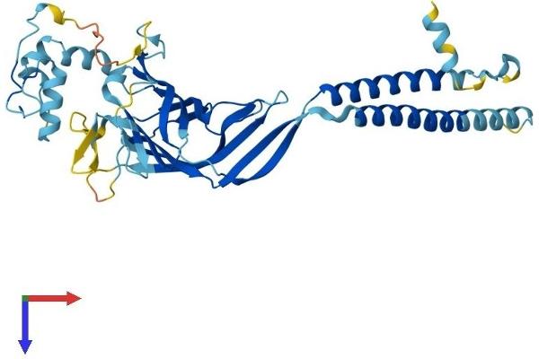 ERGIC3 Protein (AA 1-383) (His tag)