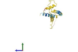 AlphaFold protein structure predicition of Mouse Recombinant Fam162a Protein, UniprotID Q9D6U8