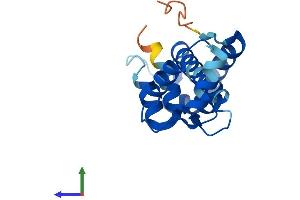 AlphaFold protein structure predicition of Human Recombinant EFCAB11 Protein, UniprotID Q9BUY7