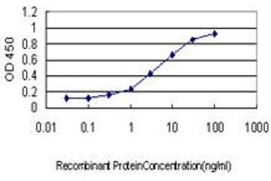 Detection limit for recombinant GST tagged YWHAG is approximately 0. (14-3-3 gamma Antikörper  (AA 67-166))