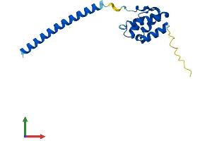 Protein Structure (PS) image for Leucine Zipper, Down-Regulated in Cancer 1 (LDOC1) (AA 1-146) protein (His tag) (ABIN7549055)