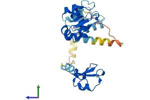 Protein Structure (PS) image for Baculoviral IAP Repeat-Containing 8 (BIRC8) (AA 1-236) protein (His tag) (ABIN7552765)