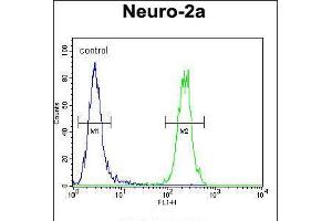 Flow cytometric analysis of Neuro-2a cells (right histogram) compared to a negative control cell (left histogram). (MAF1 Antikörper  (AA 90-117))