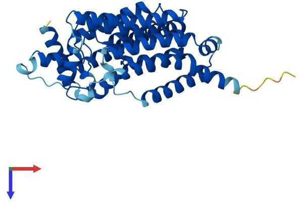 G6PC3 Protein (AA 1-346) (His tag)