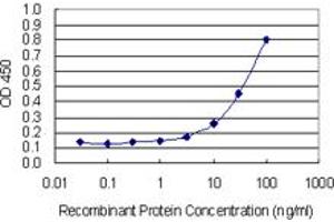 Detection limit for recombinant GST tagged MMP3 is 1 ng/ml as a capture antibody. (MMP3 Antikörper  (AA 22-131))