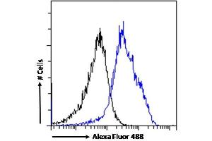 (ABIN334460) Flow cytometric analysis of paraformaldehyde fixed MCF7 cells (blue line), permeabilized with 0.