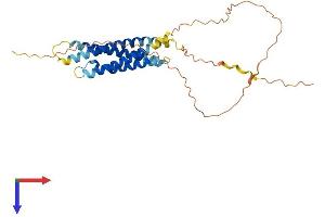 Membrane-Spanning 4-Domains, Subfamily A, Member 8 (MS4A8) (AA 1-290) protein (His tag)