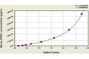 Ephrin A1 ELISA Kit