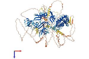 UBE2O Protein (AA 1-1292) (His tag)