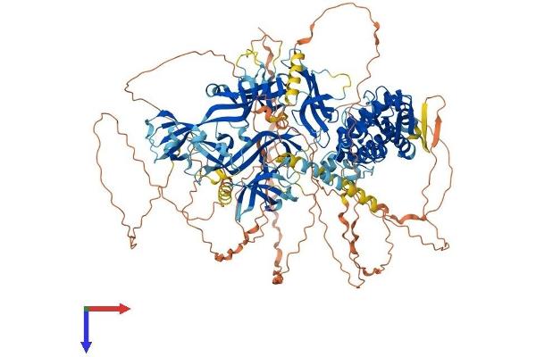 UBE2O Protein (AA 1-1292) (His tag)