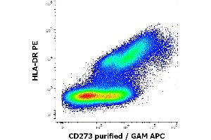 Flow cytometry multicolor surface staining pattern of human stimulated (GM-CSF + IL-4) monocytes using anti-human HLA-DR (L243) PE antibody (10 μL reagent / 100 μL of peripheral whole blood) and anti-human CD273 (24F. (PDCD1LG2 Antikörper)