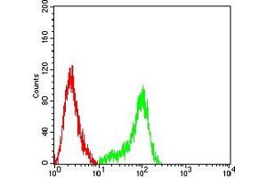 Flow cytometric analysis of THP-1 cells using CD314 mouse mAb (green) and negative control (red). (KLRK1 Antikörper  (AA 73-216))