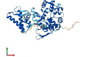 AlphaFold protein structure predicition of Mouse Recombinant Spo11 Protein, UniprotID Q9WTK8