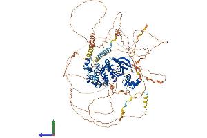 AlphaFold protein structure predicition of Mouse Recombinant Sik2 Protein, UniprotID Q8CFH6 (SIK2 Protein (AA 1-931) (His tag))