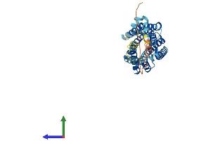 Protein Structure (PS) image for Leukotriene B4 Receptor (LTB4R) (AA 1-352) protein (His tag) (ABIN7549211)