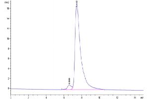 TREML1 Protein (AA 16-162) (Fc Tag)