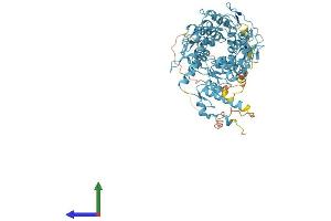 Protein Structure (PS) image for Zinc Finger Protein 799 (ZNF799) (AA 1-643) protein (His tag) (ABIN7545358)
