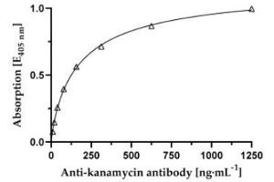 Affinity determination of anti-kanamycin specific mAb against kanamycin-BSA conjugate. (Kanamycin Antikörper)