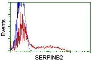 Flow Cytometry (FACS) image for anti-Plasminogen Activator Inhibitor 2 (SERPINB2) antibody (ABIN1500885) (SERPINB2 Antikörper)