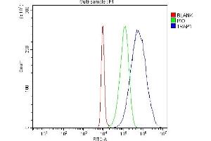 Flow Cytometry analysis of HL-60 cells using anti-TRAP1 antibody (ABIN7602179).