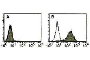 Flow Cytometry (FACS) image for anti-CD274 (PD-L1) antibody (FITC) (ABIN1449171) (PD-L1 Antikörper  (FITC))