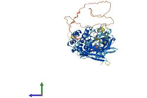Protein Structure (PS) image for BMX Non-Receptor Tyrosine Kinase (BMX) (AA 1-651) protein (His tag) (ABIN7563561)