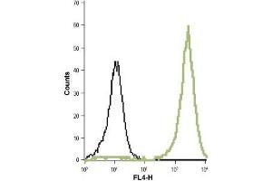 Flow Cytometry (FACS) image for anti-Potassium Large Conductance Calcium-Activated Channel, Subfamily M, alpha Member 1 (KCNMA1) (AA 199-213), (Extracellular) antibody (ABIN7043495)