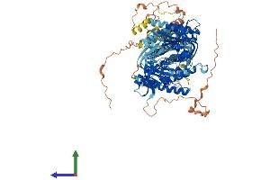 Protein Structure (PS) image for Adenylate Cyclase 1 (Brain) (ADCY1) (AA 1-1118) protein (His tag) (ABIN7562602)