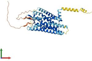 Protein Structure (PS) image for Opioid Receptor, kappa 1 (OPRK1) (AA 1-380) protein (His tag) (ABIN7554845)