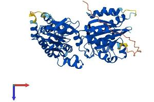 GLYCTK Protein (AA 1-523) (His tag)
