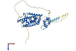 NR1H2 Protein (AA 1-446) (His tag)