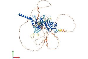 Protein Structure (PS) image for Single-Minded Homolog 2 (SIM2) (AA 1-657) protein (His tag) (ABIN7557658)