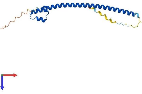 MafF Protein (AA 1-156) (His tag)