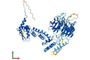 AlphaFold protein structure predicition of Human Recombinant KLHL25 Protein, UniprotID Q9H0H3 (KLHL25 Protein (AA 1-589) (His tag))