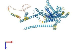 TMC1 Protein (AA 1-757) (His tag)
