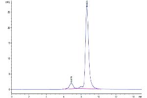 Size-exclusion chromatography-High Pressure Liquid Chromatography (SEC-HPLC) image for Interleukin 17A (IL17A) (AA 24-155) protein (His-Avi Tag) (ABIN7274990)