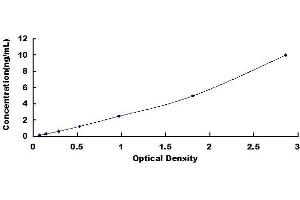 Typical standard curve (IGFBP7 ELISA Kit)