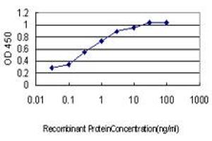 Detection limit for recombinant GST tagged HOXD8 is approximately 0. (HOXD8 Antikörper  (AA 126-190))