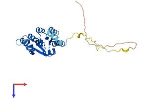 UTP23 Protein (AA 1-249) (His tag)