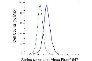 Validation of Serine racemase knockdown using flow cytometry. (Rekombinanter SRR Antikörper)