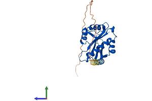 AlphaFold protein structure predicition of Human Recombinant NAA10 Protein, UniprotID P41227