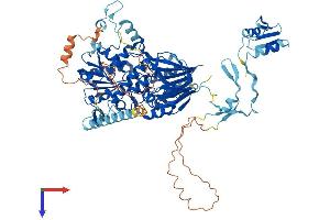 CPSF2 Protein (AA 1-782) (His tag)
