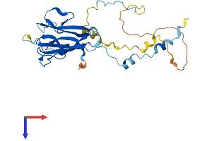 FAM125A Protein (AA 1-273) (His tag)