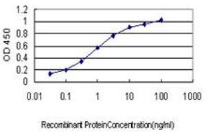 Detection limit for recombinant GST tagged DUSP5 is approximately 0. (DUSP5 Antikörper  (AA 286-384))