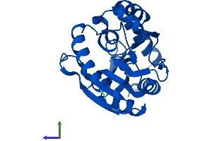 AlphaFold protein structure predicition of Human Recombinant NTMT1 Protein, UniprotID Q9BV86