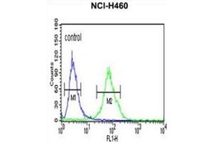 Flow Cytometry (FACS) image for anti-Gc antibody (ABIN3003972) (Gc Antikörper)